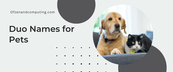 Duo Names For Pets (2025)