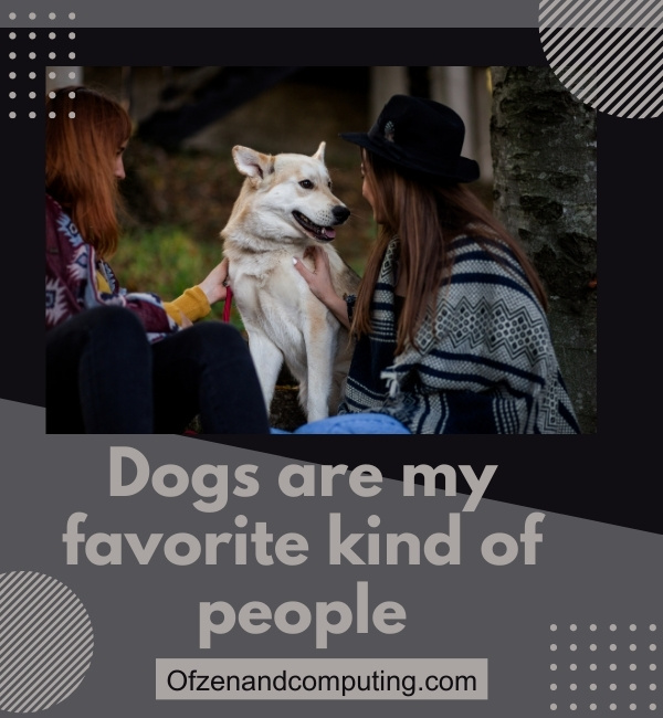 Clever Dog Instagram Captions (2025)