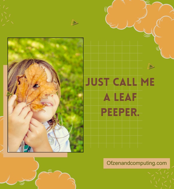 Cute Fall Captions For Instagram (2025)