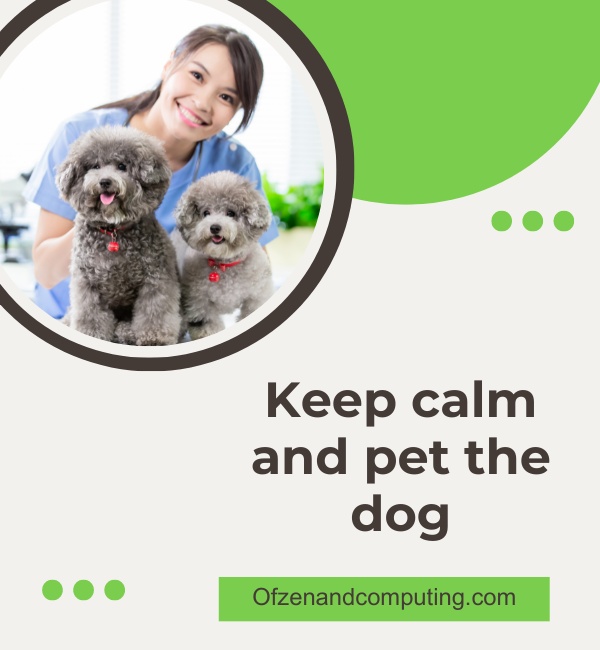 Dog Captions For Tiktok (2025)