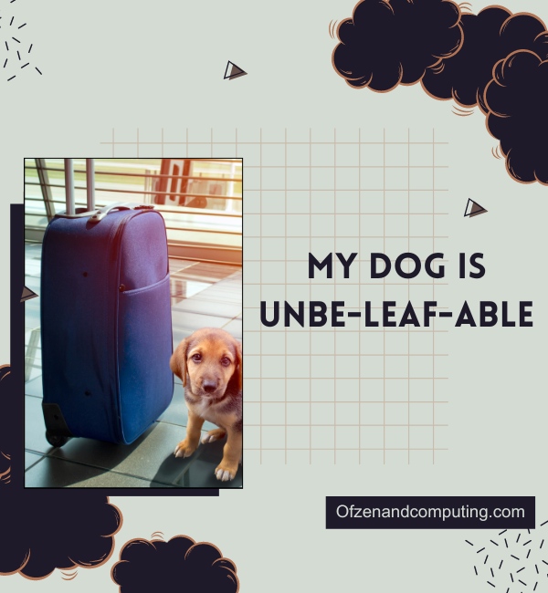 Dog Fall Captions For Instagram (2025)