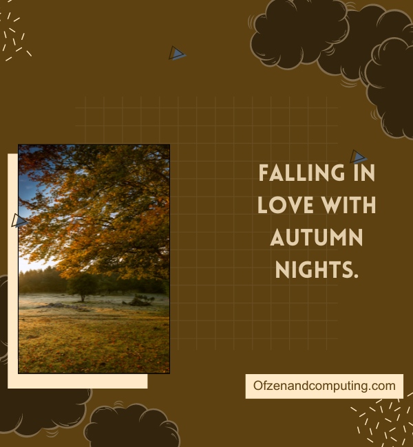 Fall Night Captions For Instagram (2025)