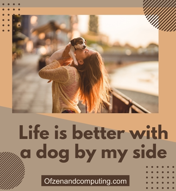 Instagram Captions For Dog Lovers (2025)