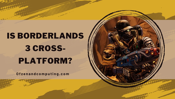 Is Borderlands 3 Cross-Platform in 2025?