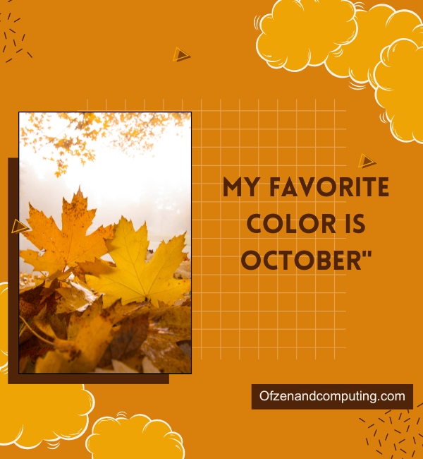 Punny Fall Captions For Instagram (2025)
