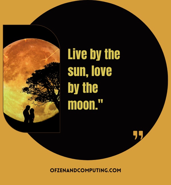 Sunset Quotes For Instagram Captions (2025)