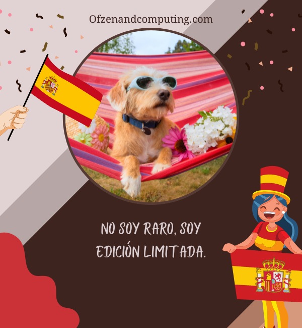 Funny Spanish Captions For Instagram (2025)