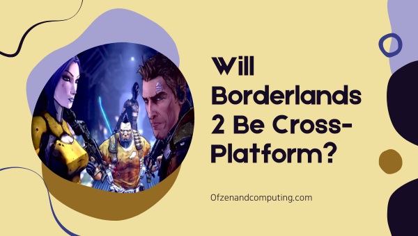 Will Borderlands 2 Be Cross-Platform?